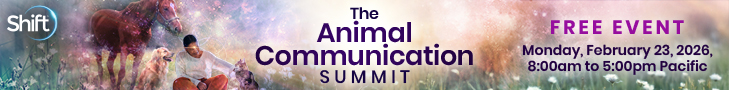 02AnimalCommunication01_26-reg_banner